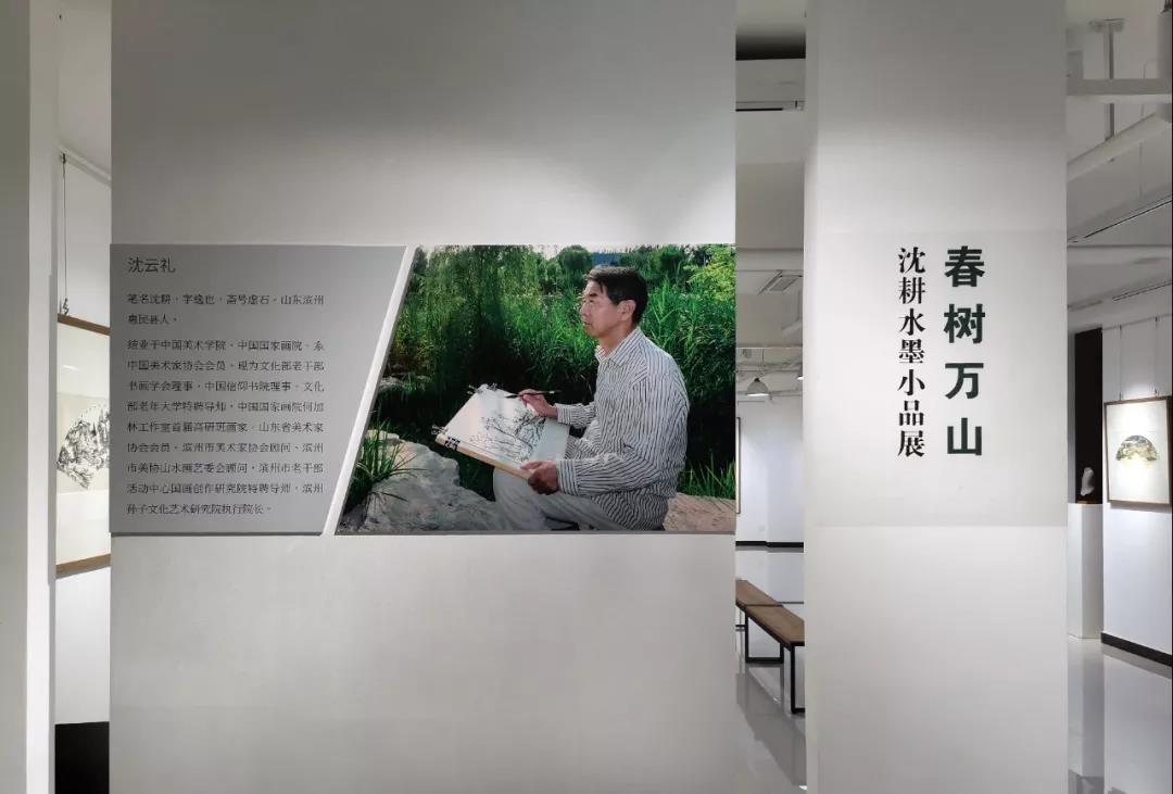 春树万山·沈耕水墨小品展暨《镜头下的滨州画家沈耕》首发式成功举行